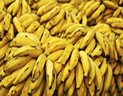 bananas